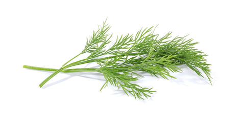 Dill