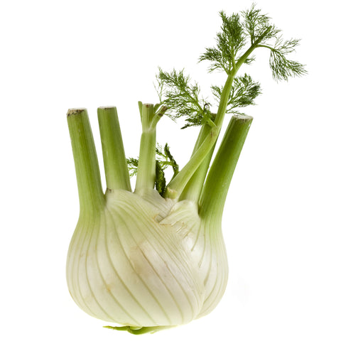 Fenchel