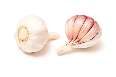 Knoblauch Rose