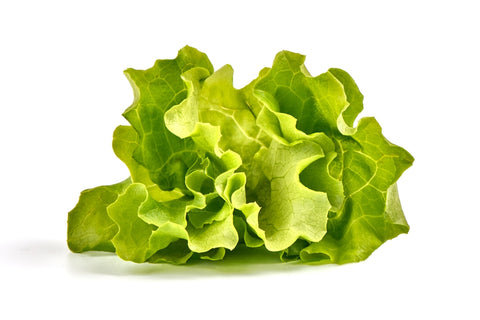 Kopfsalat