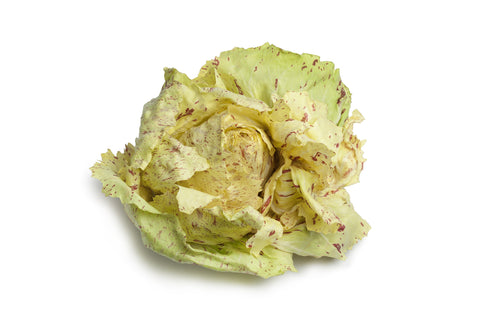 Radicchio Weiß