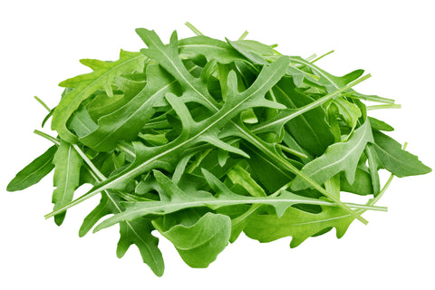 Rucola